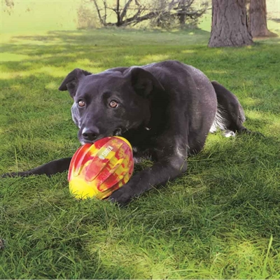 KONG Flexball Sport Football Hundboll